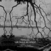 Nobody Can Leave an Island by Carol Matthews and Mayita Mendez